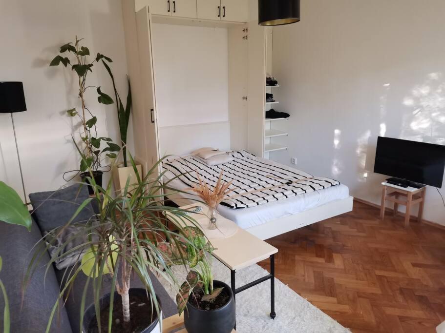 Cozy Studio In The City Centre Near Train Station براتسيلافا المظهر الخارجي الصورة