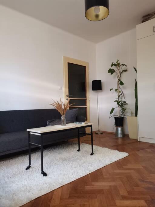 Cozy Studio In The City Centre Near Train Station براتسيلافا المظهر الخارجي الصورة